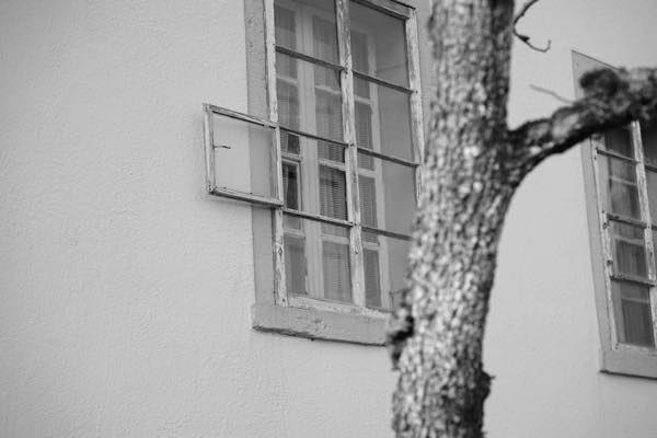 Fenster Hochstrasse 2 03.03.23